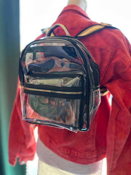 Clear Backpack Purse