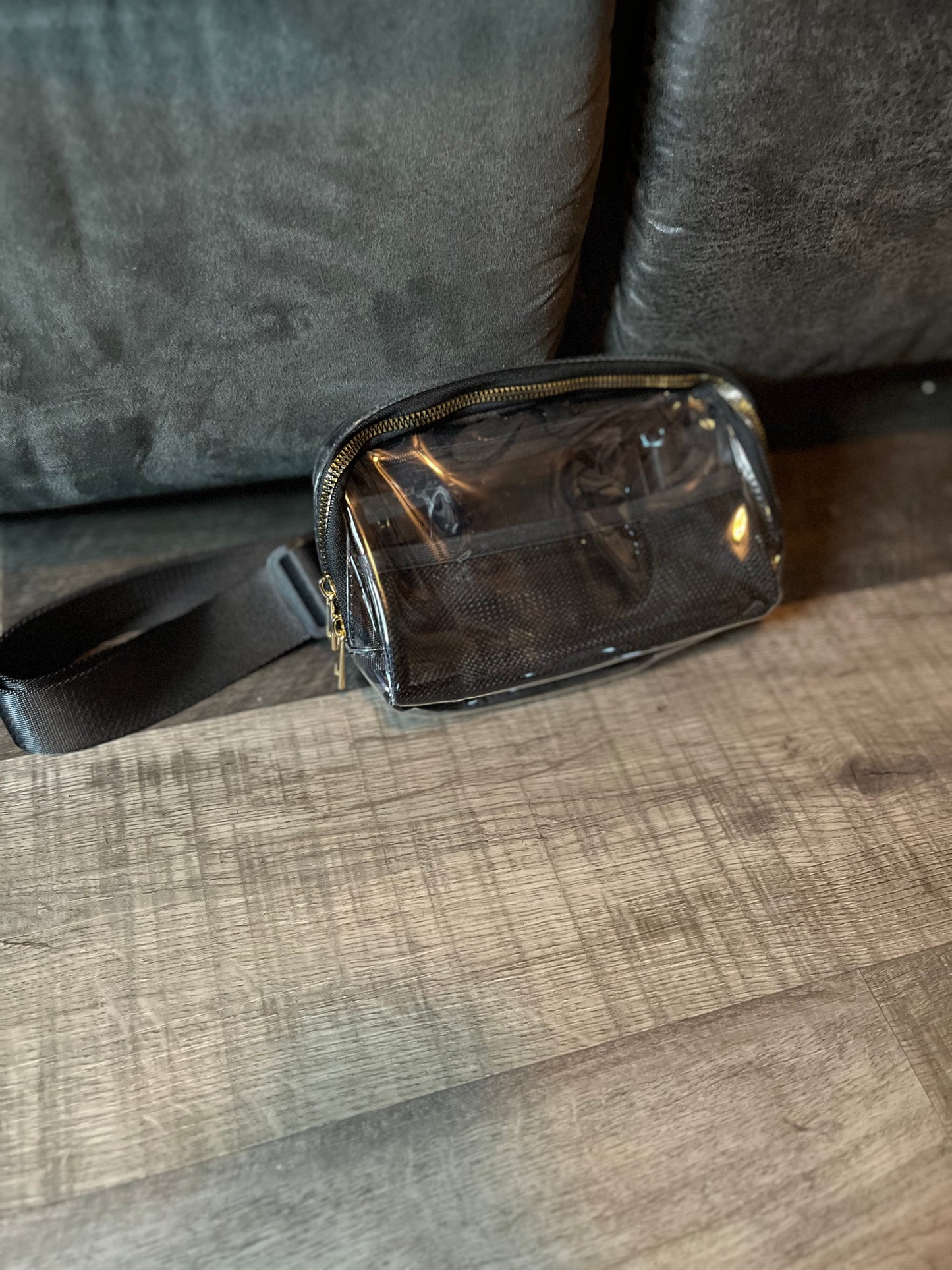 Clear Stadium Belt Bag